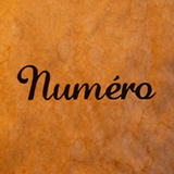 rsNavi_numero